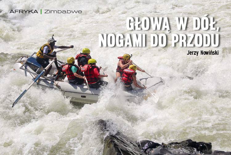 Losowy darmowy artykuł